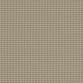 Cross Dye - Light Birch - 4009 - 03 - Half Yard