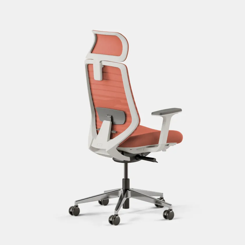 Ergonomic Chair