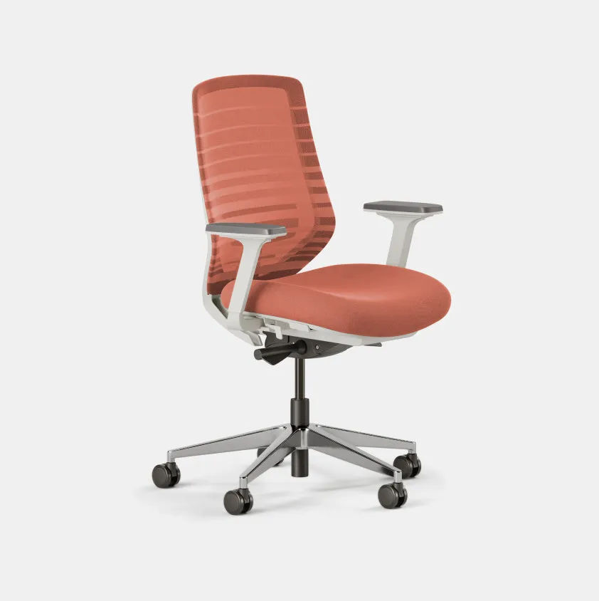 Ergonomic Chair