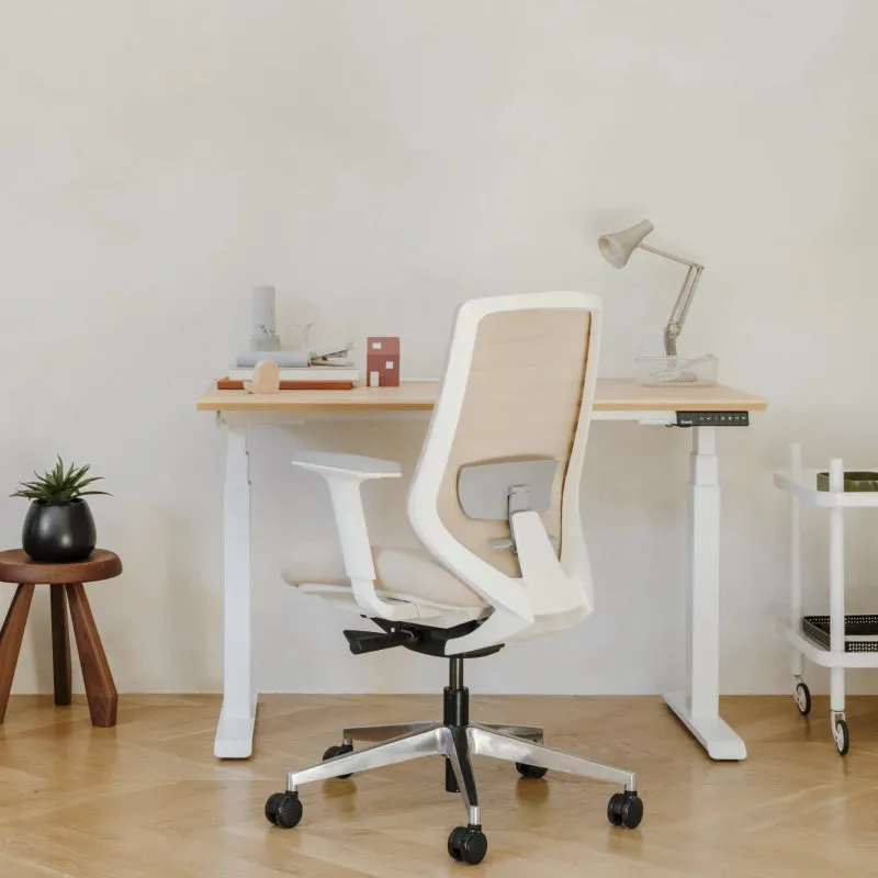 Ergonomic Chair