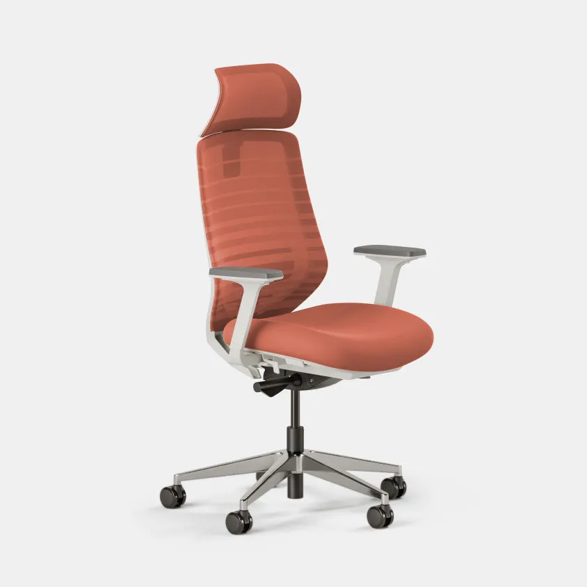 Ergonomic Chair