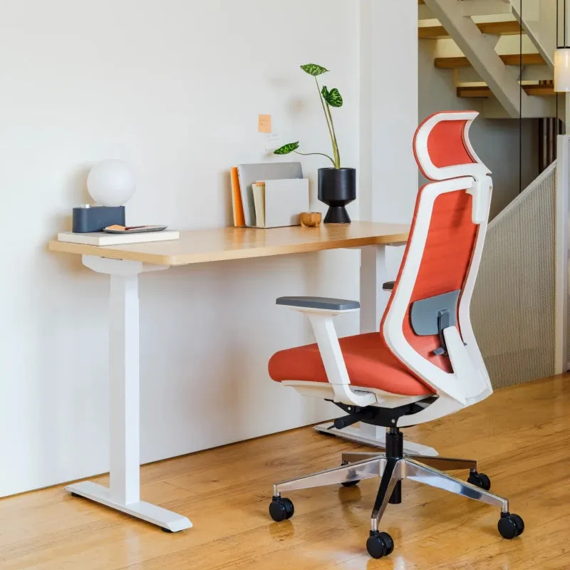 Open Box - Ergonomic Chair