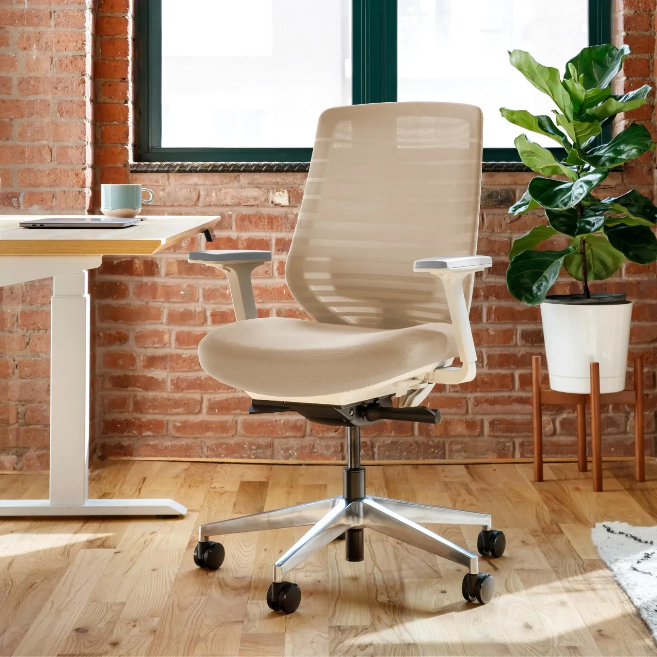 Open Box - Ergonomic Chair