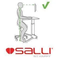 Salli ErgoRest Twin Sonography Chair for Better Posture