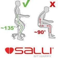 Salli ErgoRest Twin Sonography Chair for Better Posture