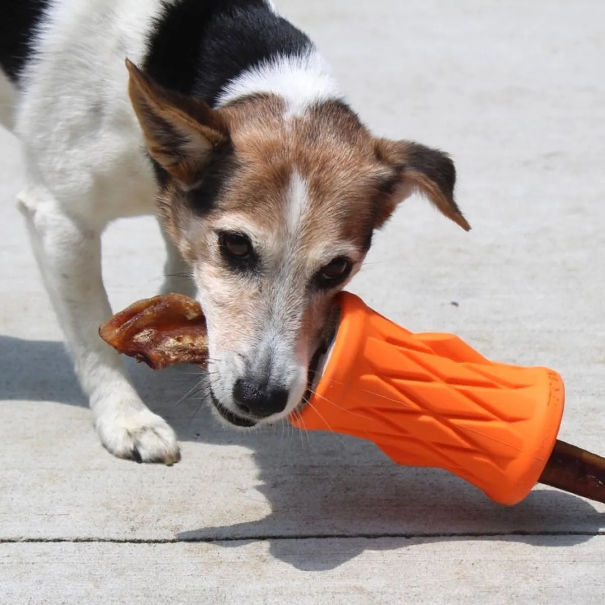 Tall Tails Natural Rubber Tree Trunk Toy